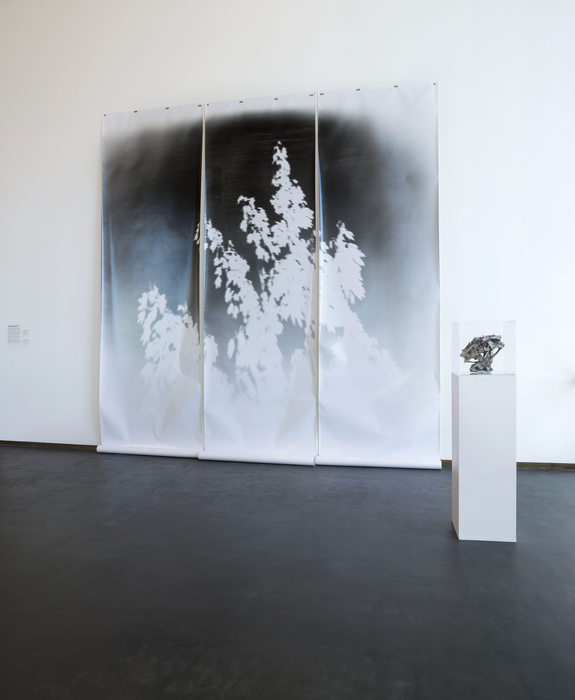 Giorgio Andreotta Calu00f2, Senza titolo, 2012, Senza titolo, 2014